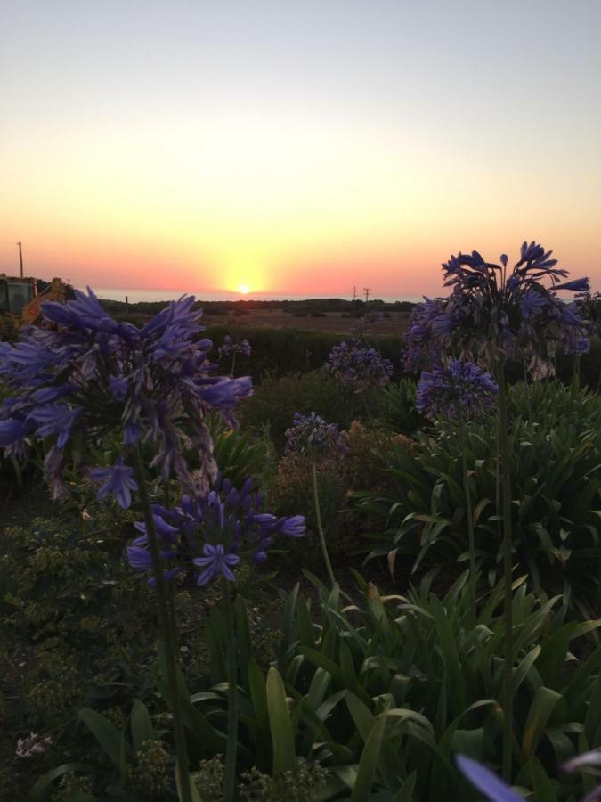 Herdade Do Pessegueiro Porto Covo Dış mekan fotoğraf