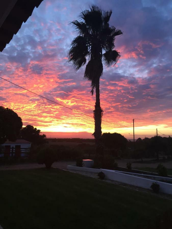 Herdade Do Pessegueiro Porto Covo Dış mekan fotoğraf