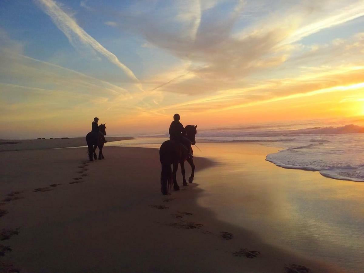 Herdade Do Pessegueiro Porto Covo Dış mekan fotoğraf