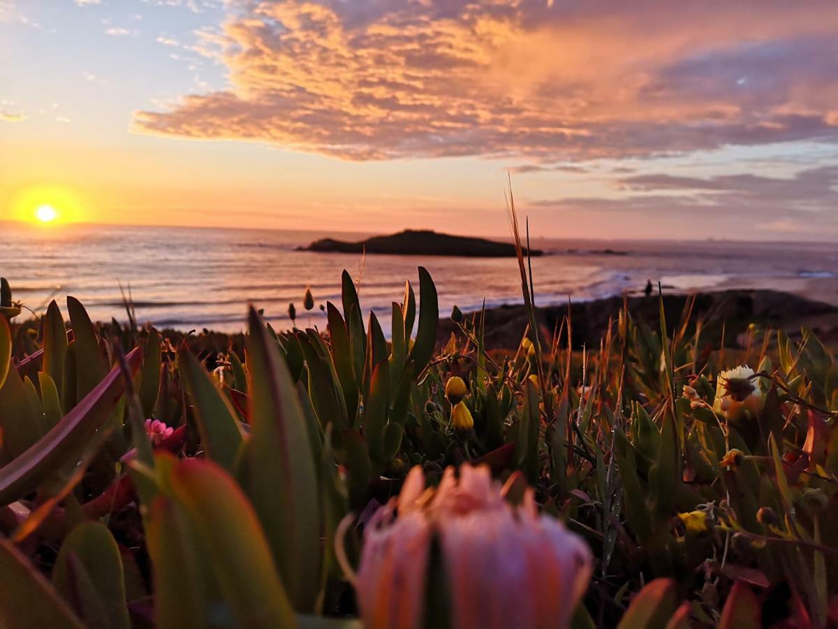 Herdade Do Pessegueiro Porto Covo Dış mekan fotoğraf