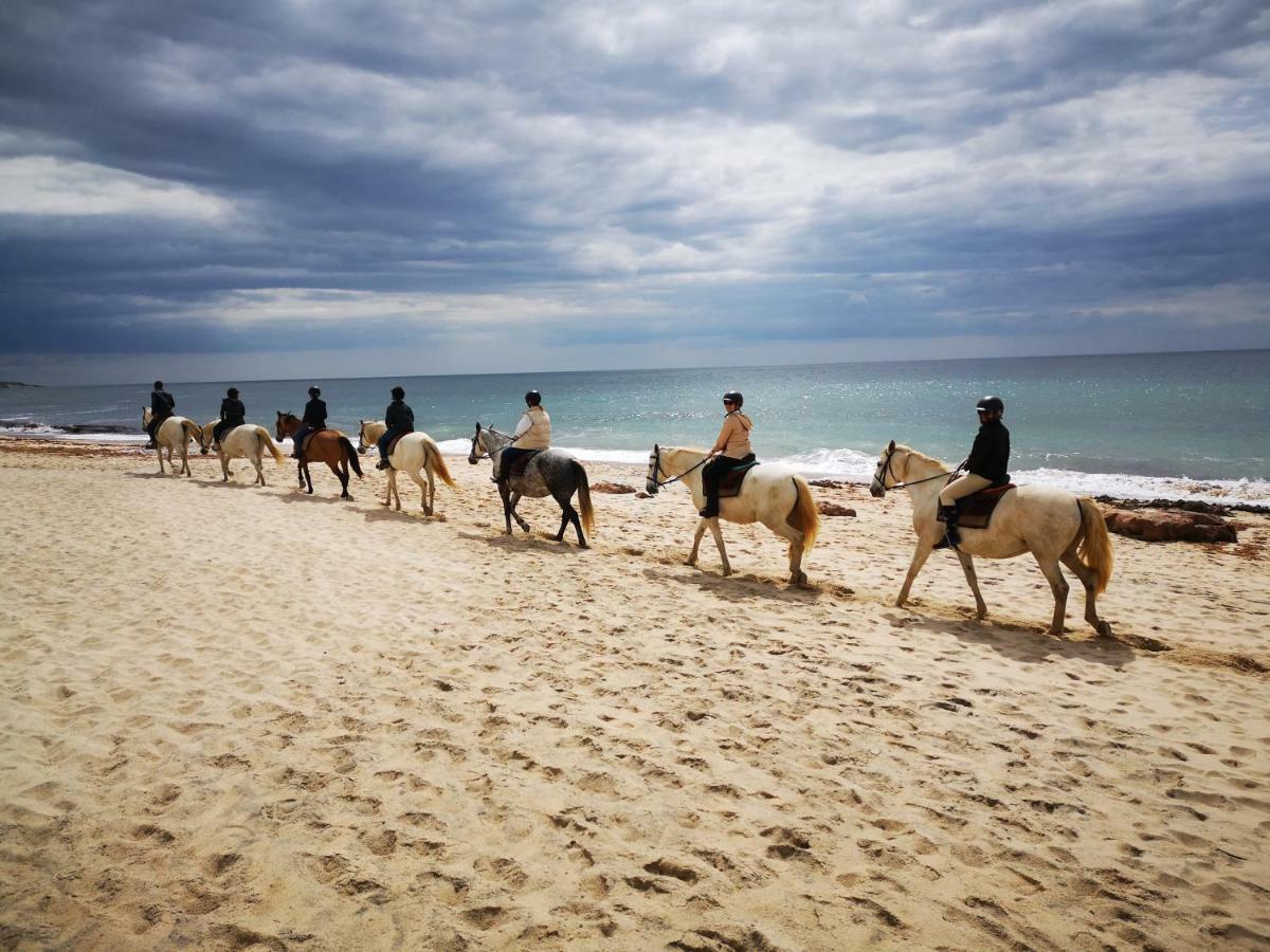 Herdade Do Pessegueiro Porto Covo Dış mekan fotoğraf