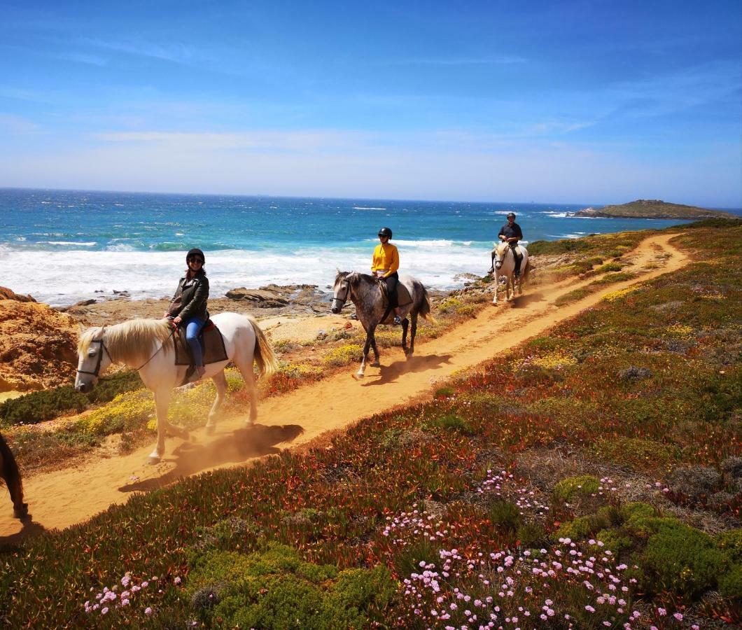 Herdade Do Pessegueiro Porto Covo Dış mekan fotoğraf